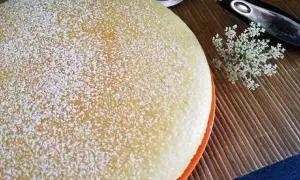 Torta vegana soffice e dorata, cosparsa di zucchero a velo. Accanto, un fiorellino bianco e un utensile da cucina.