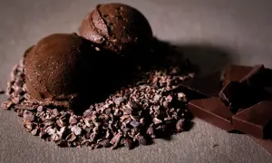 Due palline di cremoso gelato cioccolato su un letto di granella di cacao, con pezzi di cioccolato fondente a lato.
