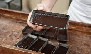 Mani esperte versano cioccolato lavorato a freddo in stampini metallici, pronti per diventare delizie artigianali.