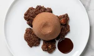 Delizioso semifreddo al cioccolato su un piatto bianco, circondato da croccanti biscotti al cacao e una goccia di salsa al cioccolato.