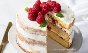 Deliziosa torta di buon compleanno a strati, ricoperta di panna e decorata con lamponi freschi e foglie di menta.