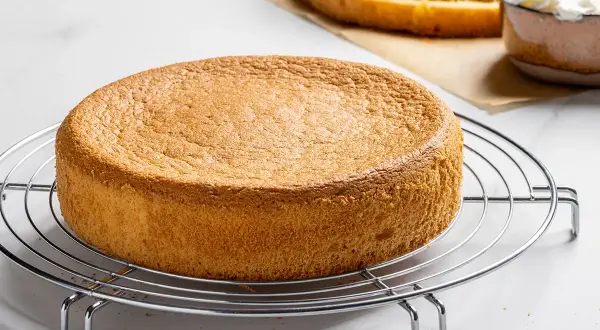 Un soffice pan di spagna, la ricetta della nonna, pronto per essere farcito. Sullo sfondo, un altro disco e una ciotola di panna montata.