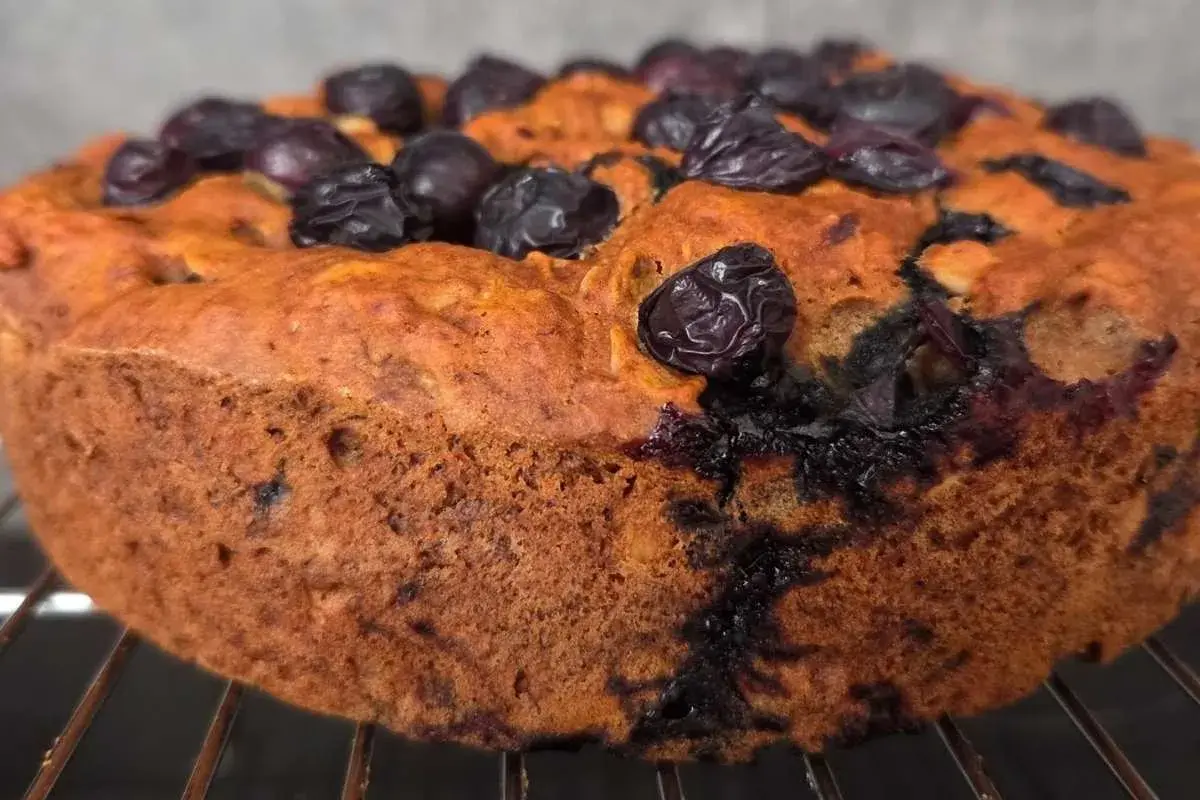 Torta senza zucchero con mirtilli, dorata e soffice, appena sfornata e adagiata su una griglia.