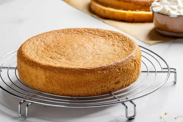 Un soffice pan di spagna, la ricetta della nonna, pronto per essere farcito. Sullo sfondo, un altro disco e una ciotola di panna montata.