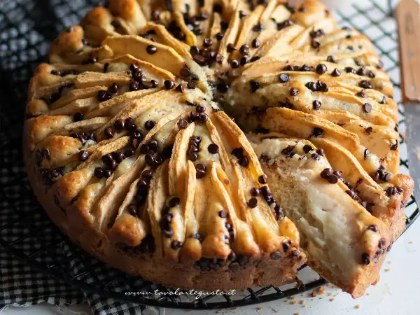 Delizioso dolce mele e cioccolato, con fette di mela disposte a raggiera e gocce di cioccolato fondente che si sciolgono nell'impasto soffice.